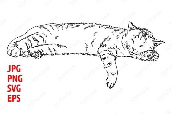 Download Sleeping Cat Illustration Clipart - Cat illustration Collection